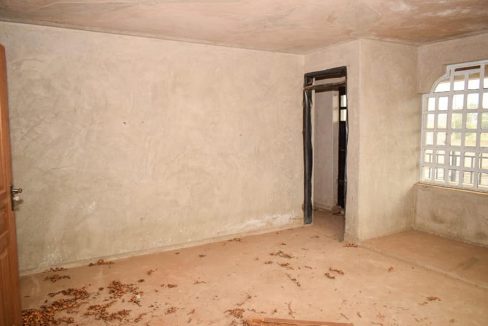 245193223 4396908573696640 7578097031045895765 n