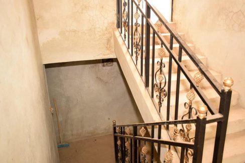 245426249 4396909553696542 4928645807983800326 n