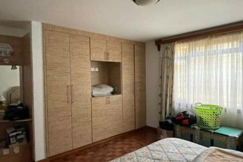 245606666 4401119726608858 8757336200912186381 n