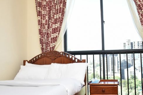 251505556 4458443814209782 7805396215034234710 n