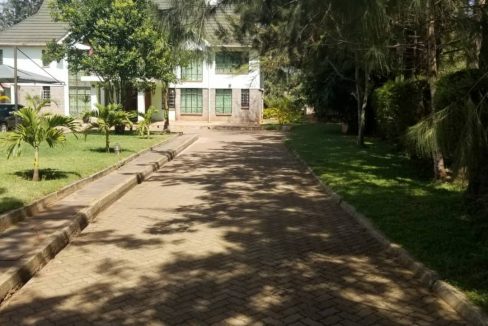 251915633 4461675900553240 1206021397717231439 n