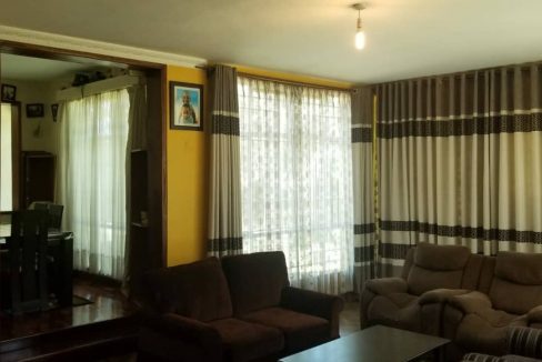 252713102 4461675893886574 5979706073969012011 n