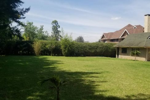 252903575 4461675913886572 6157351468321032386 n