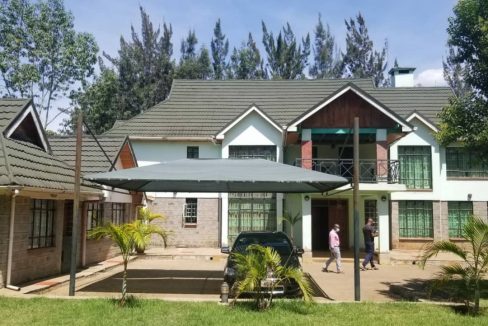 252959300 4461675927219904 604469102132704254 n