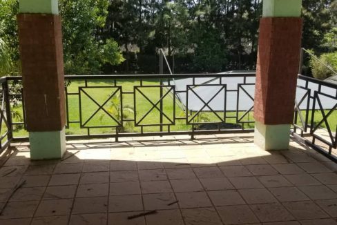 253191160 4461675917219905 2026773708390336924 n