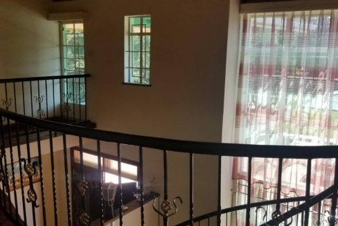 253219845 4461675920553238 1184928966272774853 n