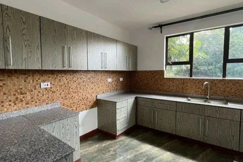 3 bedroom apartments for rent in kileleshwa kitchen