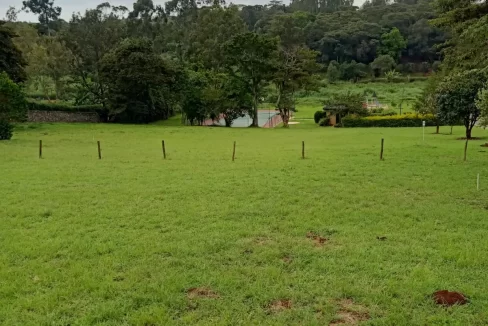 IMG 20220629 072855 265