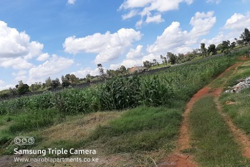 Land for sale in Runda Mimosa o