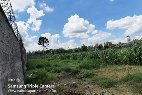 Land for sale in Runda Mimosa t
