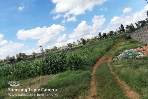 Land for sale in Runda Mimosa y