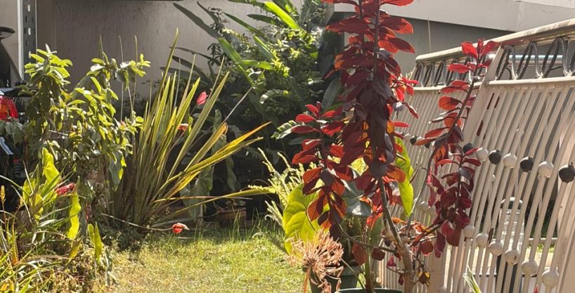 3 bedroom apartment for sale Riverside Drive