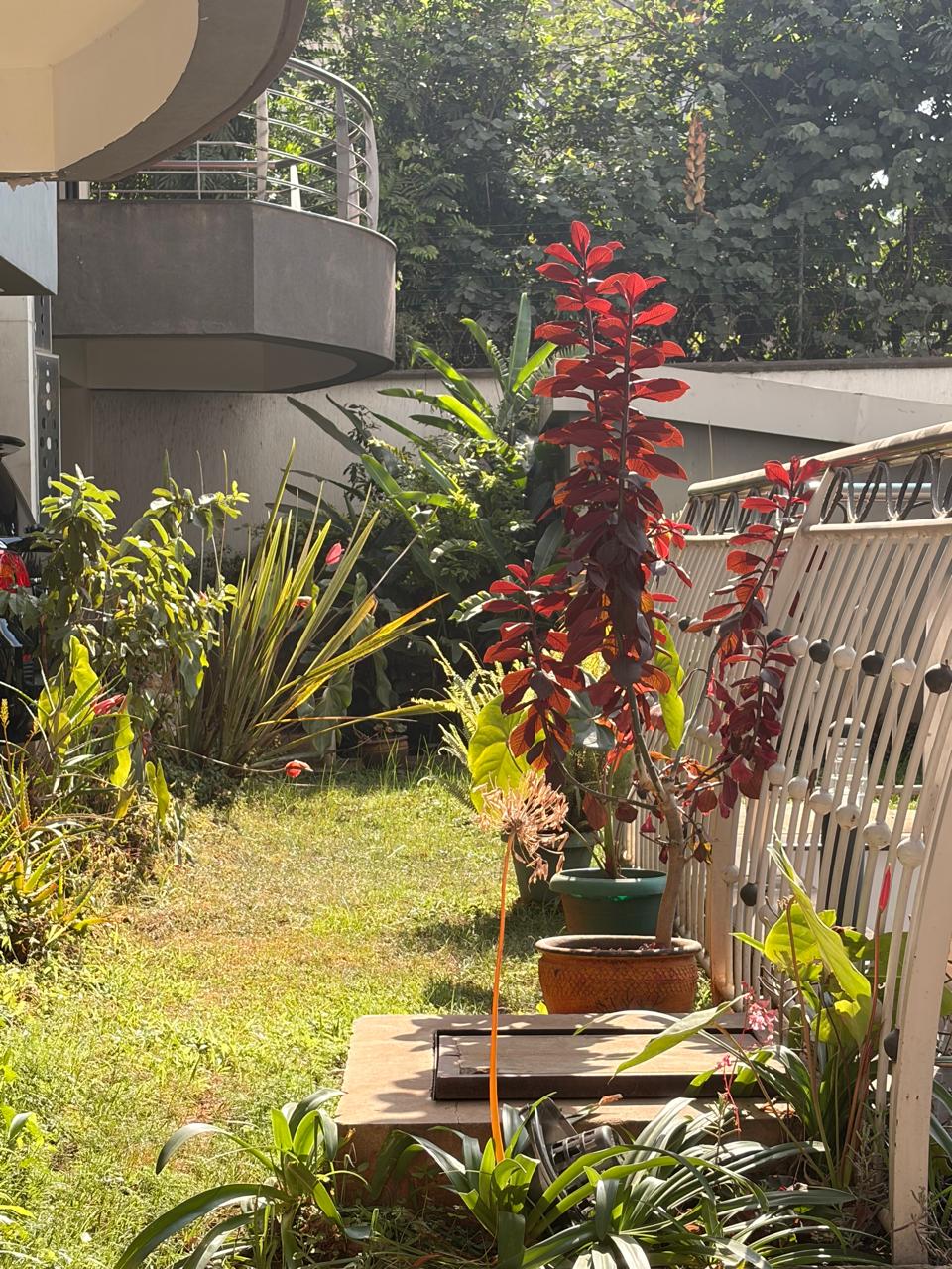 3 Bedroom + SQ For Sale, Riverside Pearl Residence | KES 40M