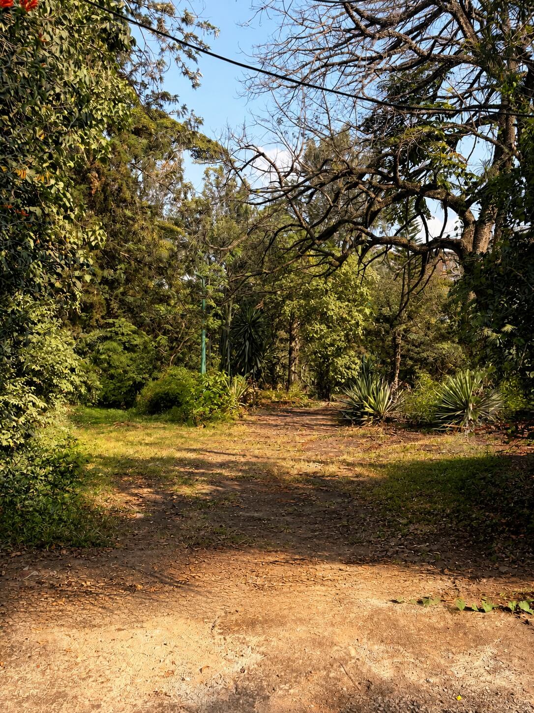 1.2-Acre Plot for Sale on Riverside Drive, Nairobi